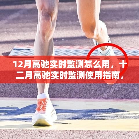 高馳實時監(jiān)測使用指南，掌握十二月實時數(shù)據(jù)監(jiān)測技巧