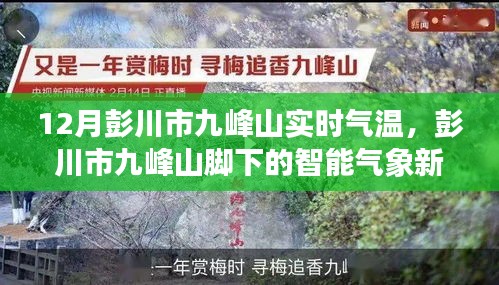 2024年12月13日 第16頁(yè)