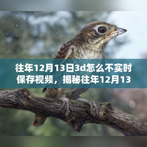 揭秘，為何往年12月13日3D技術(shù)未能實(shí)時(shí)保存視頻的背后真相