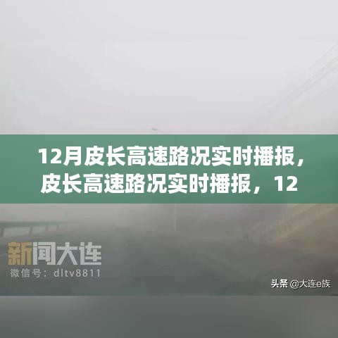 2024年12月13日 第13頁