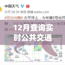 與實時出行共舞，12月實時公共交通查詢指南