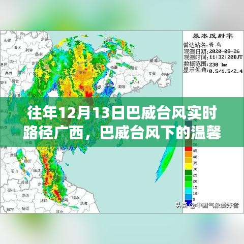 巴威臺(tái)風(fēng)下的廣西故事，溫馨軌跡與家的羈絆實(shí)時(shí)更新