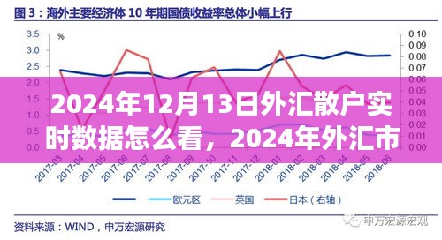 2024年外匯市場散戶實時數(shù)據(jù)解讀指南，如何查看與分析外匯散戶實時數(shù)據(jù)