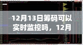 揭秘，12月13日籌碼實(shí)時(shí)監(jiān)控之旅，自然、內(nèi)心與籌碼的交響樂(lè)