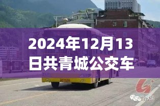 2024年共青城公交車實時查詢指南，輕松出行，無憂旅途