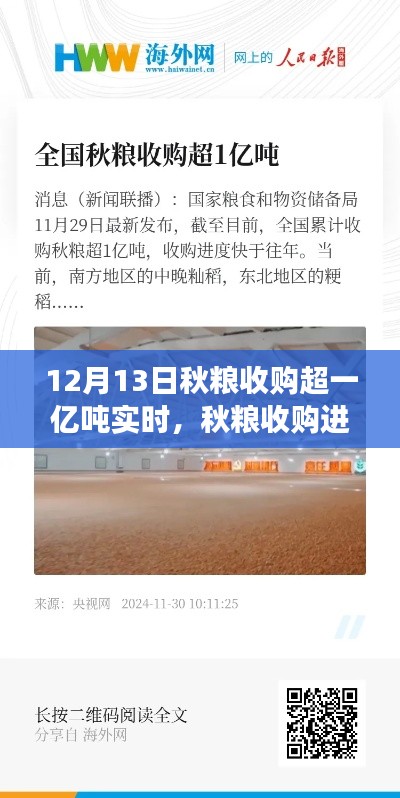 秋糧收購(gòu)進(jìn)展順利，截至12月13日實(shí)時(shí)收購(gòu)量超一億噸的綜合分析