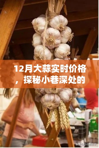 探秘小巷深處的蒜香樂(lè)園，揭秘大蒜實(shí)時(shí)價(jià)格走勢(shì)，洞悉市場(chǎng)變化