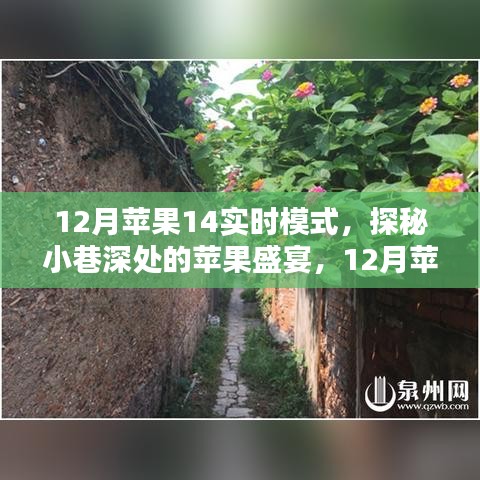 探秘蘋果盛宴，獨(dú)家體驗(yàn)蘋果14實(shí)時(shí)模式下的秘密小巷
