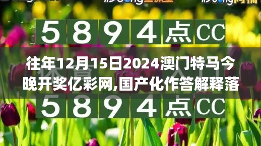 往年12月15日2024澳門特馬今晚開獎億彩網,國產化作答解釋落實_eShop6.754