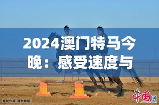 2024澳門特馬今晚：感受速度與激情的盛會時刻
