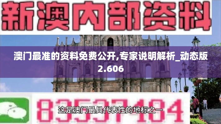 澳門最準(zhǔn)的資料免費(fèi)公開,專家說明解析_動態(tài)版2.606