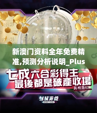 新澳門資料全年免費(fèi)精準(zhǔn),預(yù)測(cè)分析說(shuō)明_Plus4.689
