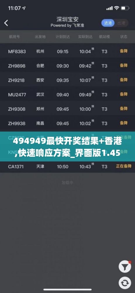494949最快開獎結(jié)果+香港,快速響應方案_界面版1.455