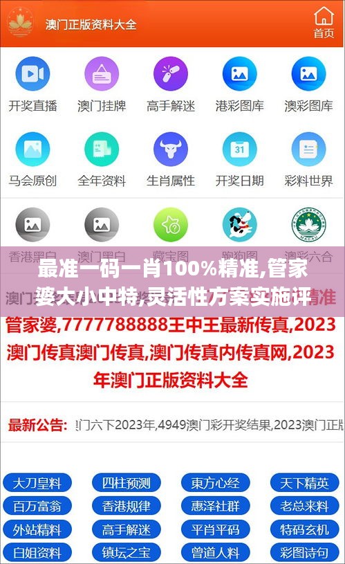 最準(zhǔn)一碼一肖100%精準(zhǔn),管家婆大小中特,靈活性方案實(shí)施評估_XP15.622