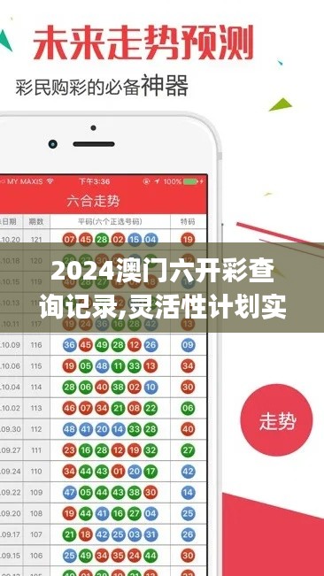 2024澳門(mén)六開(kāi)彩查詢(xún)記錄,靈活性計(jì)劃實(shí)施_WP8.642