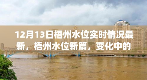 梧州水位實時更新，變化中的力量，學習與成就的自信之旅