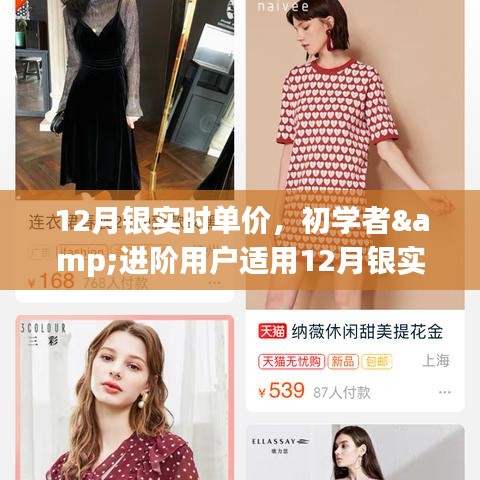 12月銀實(shí)時(shí)單價(jià)查詢與監(jiān)控指南，適合初學(xué)者與進(jìn)階用戶的步驟指南