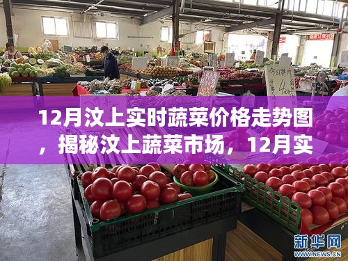 揭秘汶上蔬菜市場，12月實(shí)時(shí)蔬菜價(jià)格走勢深度解析及趨勢預(yù)測