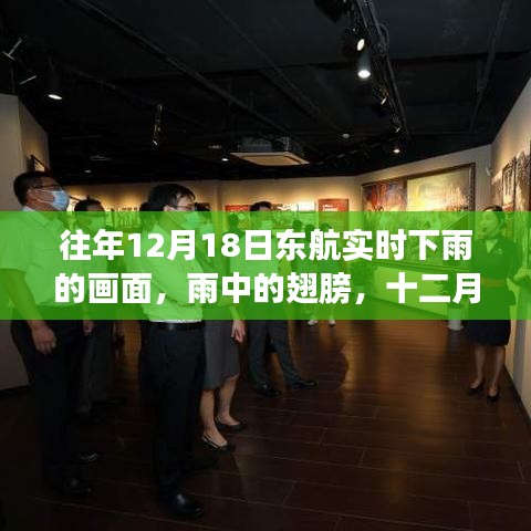 十二月十八日東航雨中翅膀之旅與友情小事