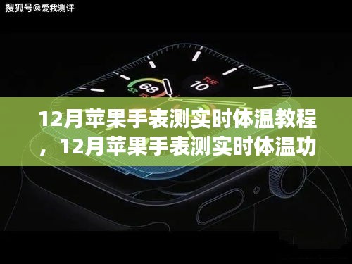 12月蘋果手表實時體溫測量功能詳解與教程，觀點闡述與全面解析