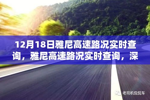 雅尼高速路況實時查詢深度解析與觀點闡述，最新路況信息，不容錯過！