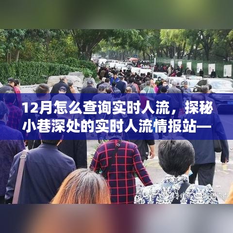 探秘隱藏式人流查詢(xún)指南，實(shí)時(shí)掌握小巷深處人流情報(bào)的秘訣