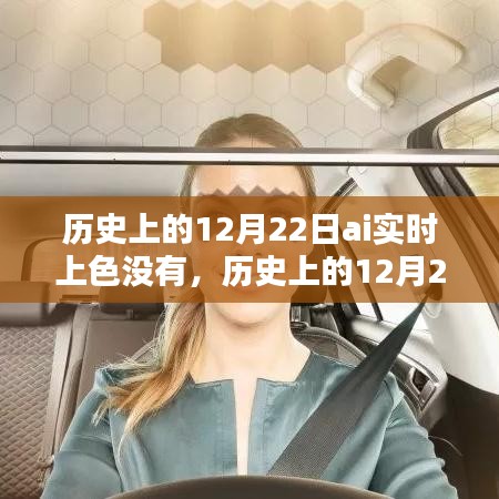歷史上的12月22日AI實(shí)時上色技術(shù)深度解析與評測，特性、體驗(yàn)、競品對比及用戶分析