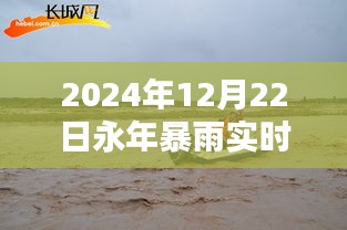 雨幕之下，永年暴雨紀(jì)實(shí)與實(shí)時動態(tài)