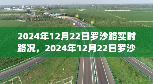 羅沙路實(shí)時(shí)路況導(dǎo)航指南，行車技巧從初學(xué)到進(jìn)階