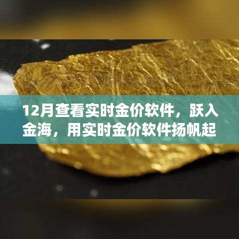 躍入金海，實時金價軟件助你揚帆起航，金銀財富與自信人生的學習之旅