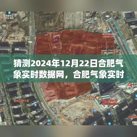 文質(zhì)彬彬