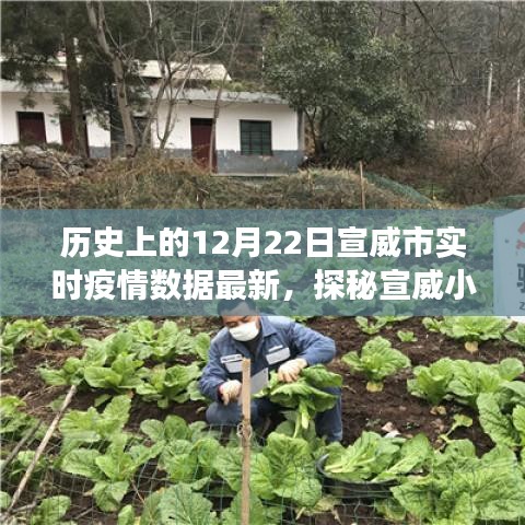 宣威市實時疫情數(shù)據(jù)更新，十二月二十二日特色環(huán)境之旅與小店的探秘之旅