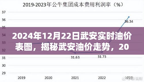 揭秘武安油價走勢，最新油價表圖與解析（2024年12月22日）