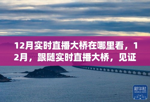 見證力量，12月實時直播大橋，自信成就之光展現(xiàn)變化力量