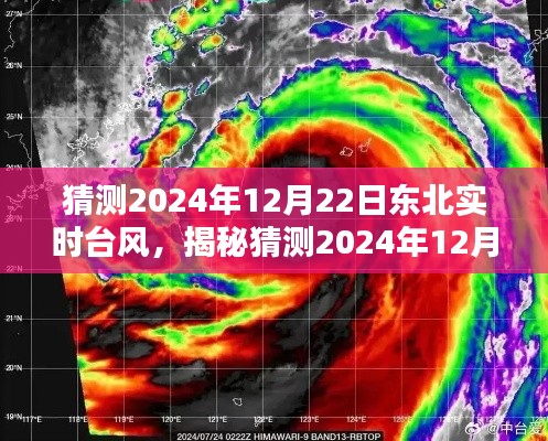 揭秘東北未來臺風(fēng)，關(guān)于東北實時臺風(fēng)特性、體驗、競品對比及用戶群體分析預(yù)測報告（2024年12月22日）