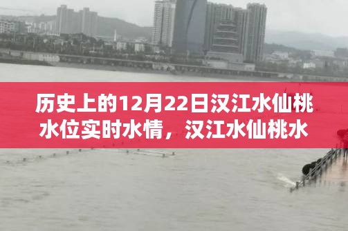 漢江水仙桃水位揭秘，探尋歷史特殊水情，實(shí)時(shí)掌握12月22日水位動(dòng)態(tài)