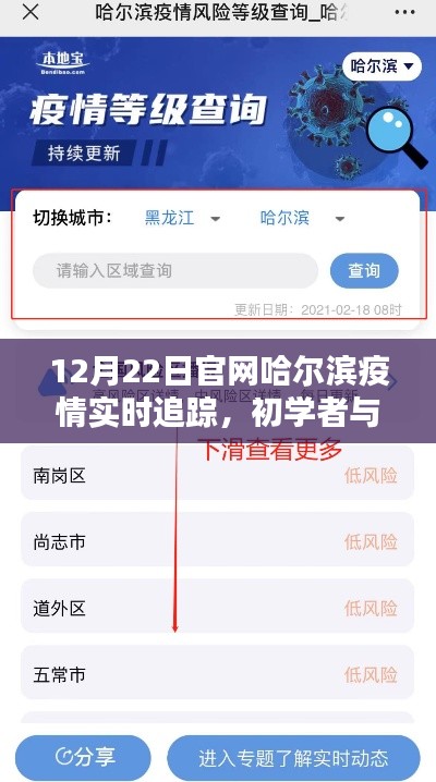 哈爾濱疫情實(shí)時(shí)追蹤指南，從初學(xué)者到進(jìn)階用戶，一鍵掌握（以12月22日為例）