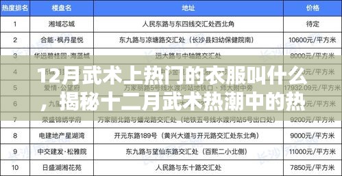 揭秘十二月武術(shù)熱潮中的熱門(mén)服飾名稱(chēng)，武術(shù)服裝流行趨勢(shì)解析