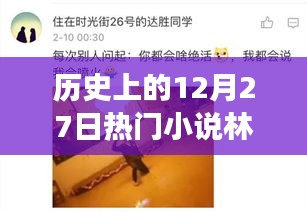 歷史上的12月27日，林天宇與寧麗霞的熱門小說(shuō)之旅