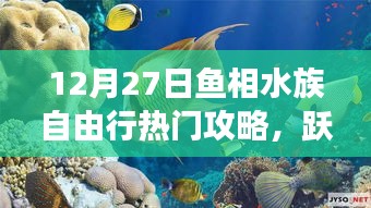 12月27日魚相水族心靈之旅，深藍(lán)海洋自由行攻略
