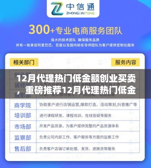 12月代理熱門低金額創(chuàng)業(yè)買賣，輕松開啟財富之路