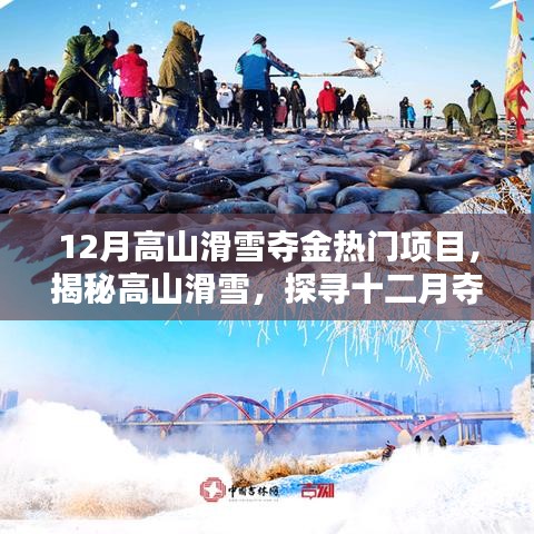 揭秘高山滑雪，十二月奪金熱門項(xiàng)目的魅力與要點(diǎn)解析