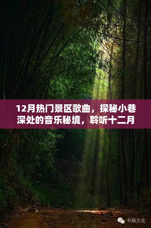 探秘十二月熱門景區(qū)音樂(lè)秘境，小巷深處的歌曲精選