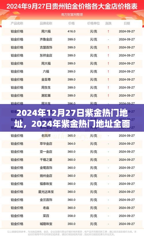 2024年紫金熱門地址全面評測，特性、體驗(yàn)、對比及用戶群體深度解析