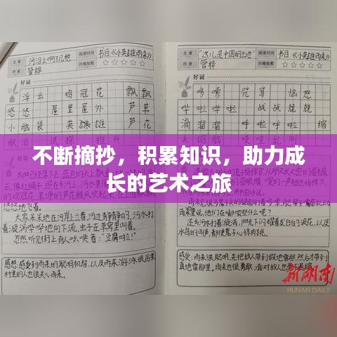 不斷摘抄，積累知識，助力成長的藝術之旅