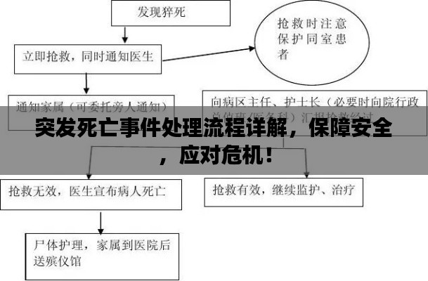 突發(fā)死亡事件處理流程詳解，保障安全，應對危機！