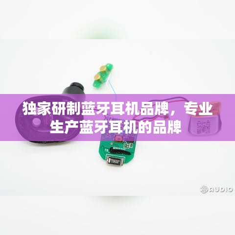 獨家研制藍牙耳機品牌，專業(yè)生產(chǎn)藍牙耳機的品牌 