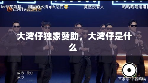 大灣仔獨(dú)家贊助，大灣仔是什么 