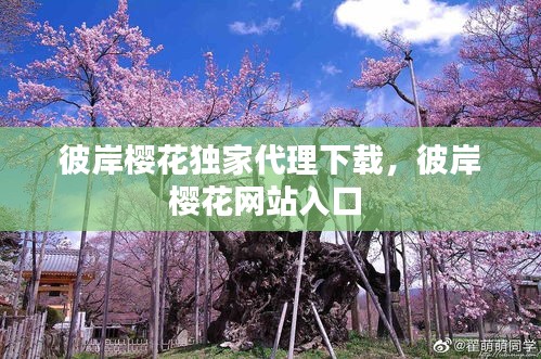 彼岸櫻花獨家代理下載，彼岸櫻花網站入口 