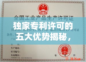 獨(dú)家專利許可的五大優(yōu)勢(shì)揭秘，專利保護(hù)下的商業(yè)新機(jī)遇！